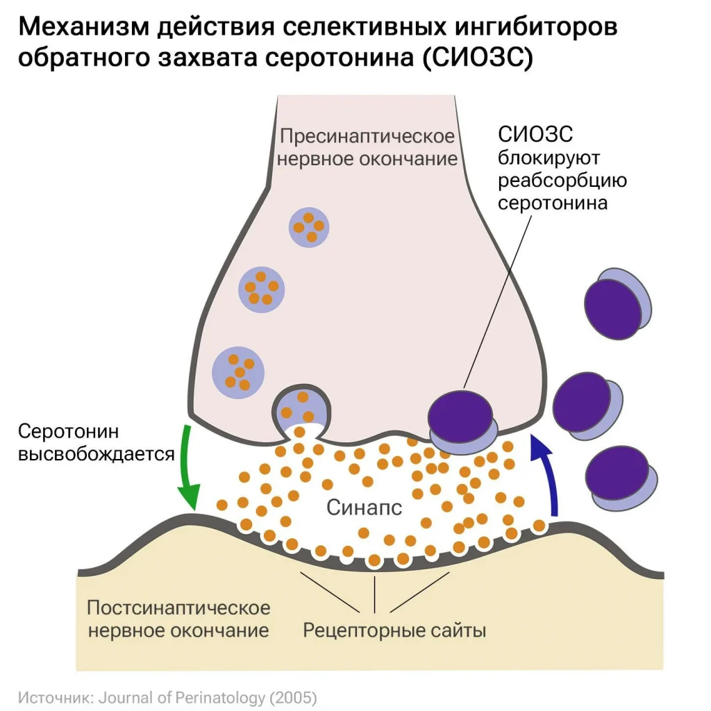 Схема синапса до и после действия антидепрессантов